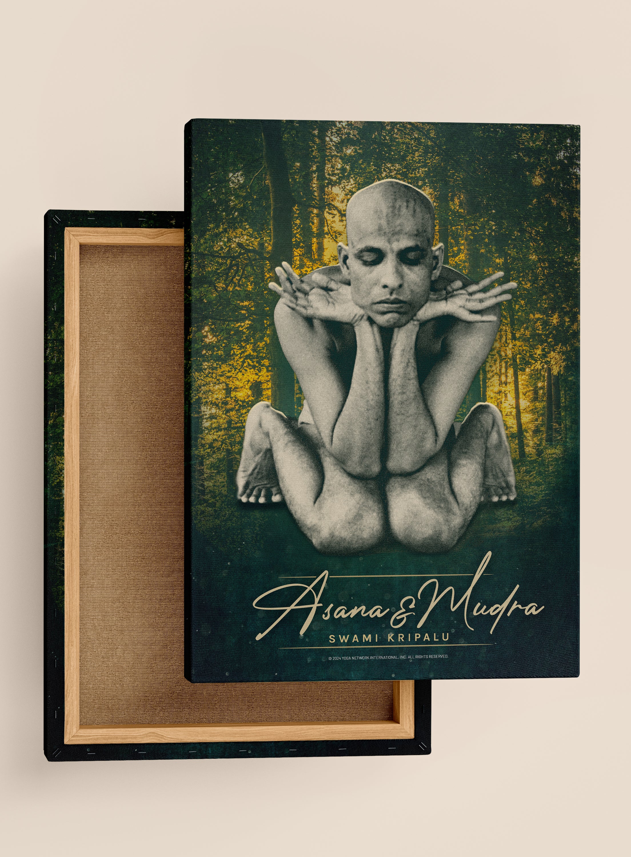 Bapuji Asana & Mudra - Framed Canvas Print