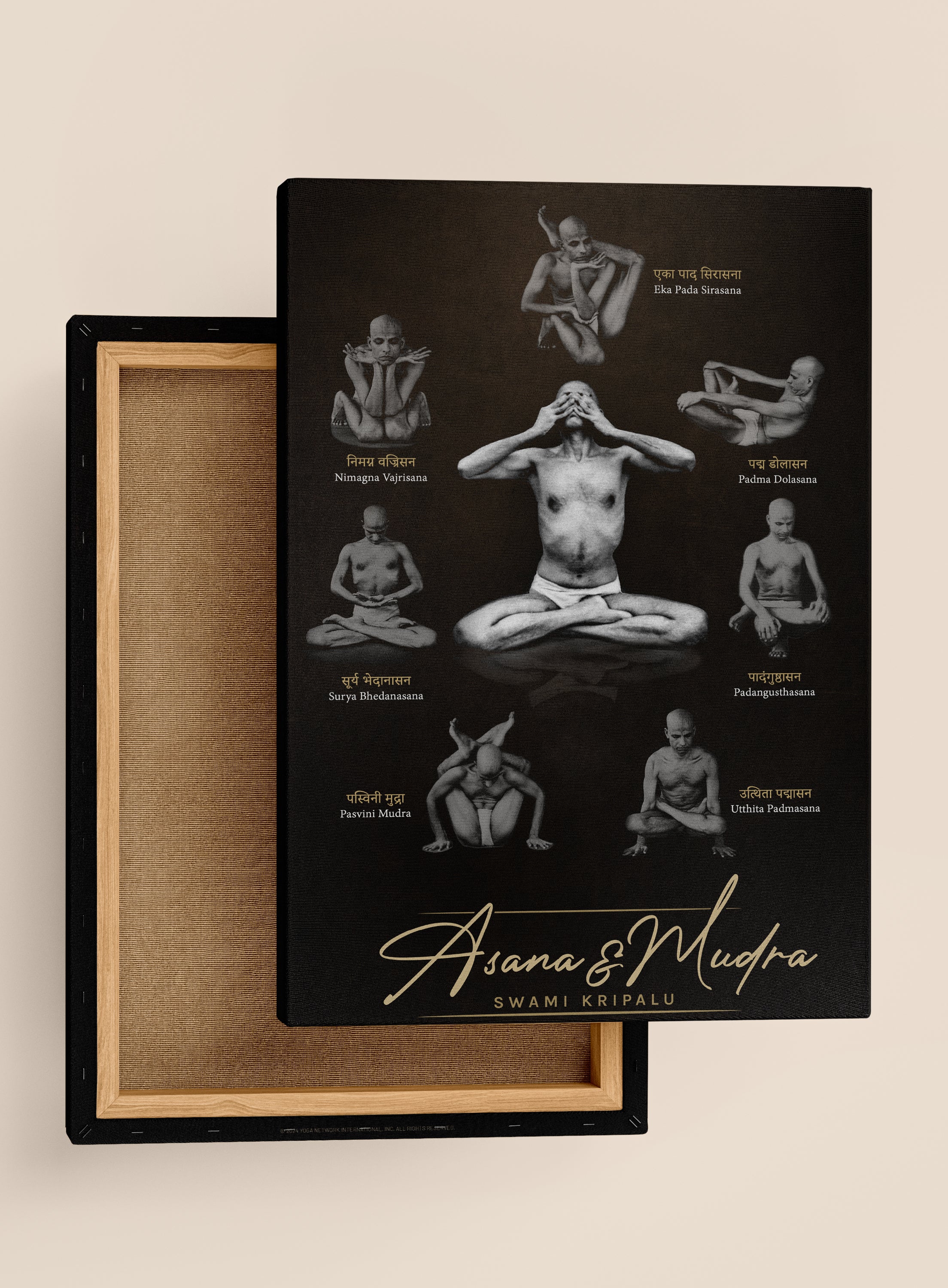 Asana & Mudra - Framed Canvas Print