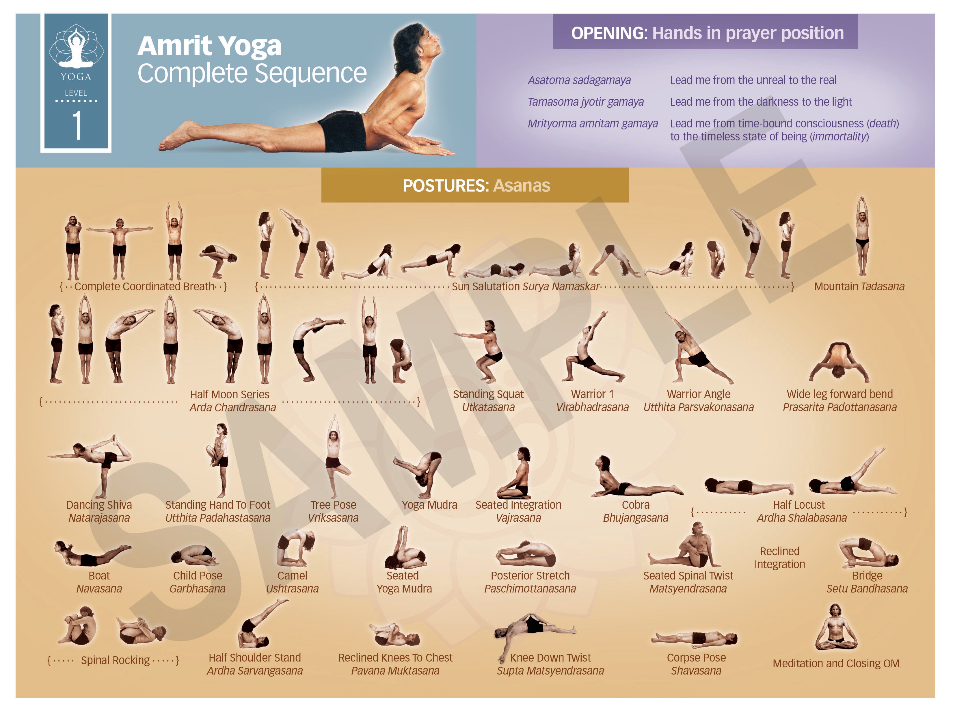 Teacher Training - Integrative Amrit Method of Yoga: Level 1 Sequence Chart